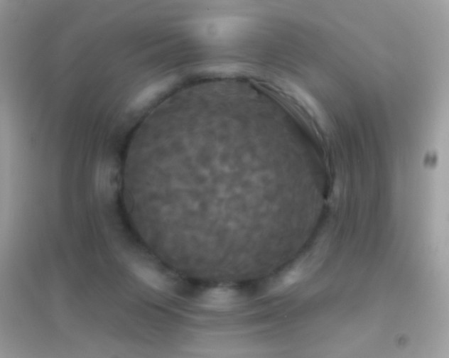 X0000095110119200712071226