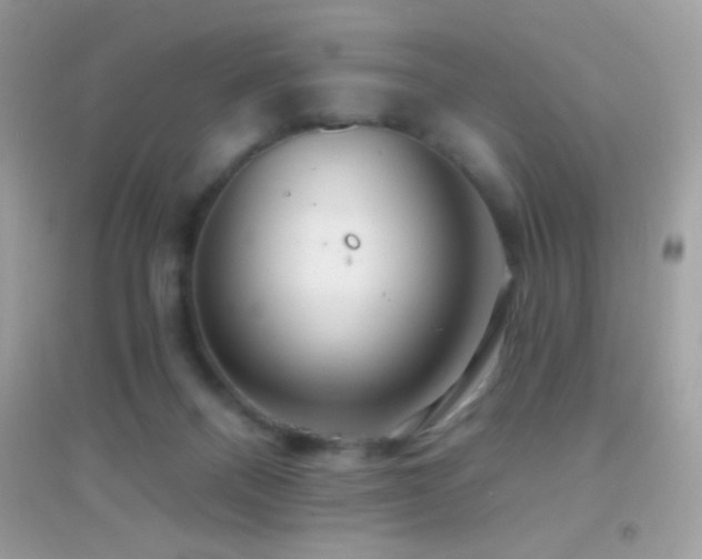 X0000095110120200712071226