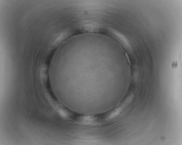 X0000095110121200712071226