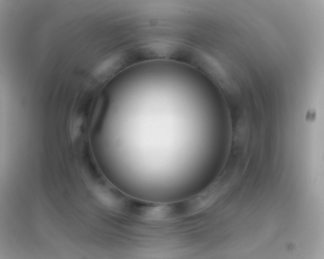 X0000095110122200712071226