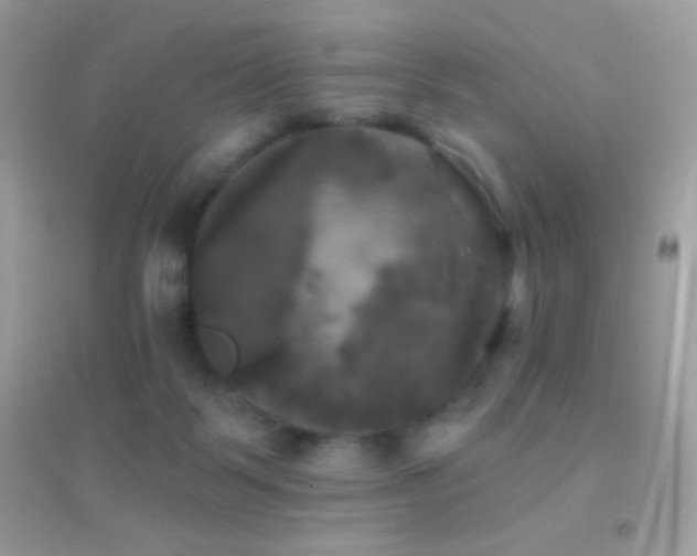 X0000095110123200712071226