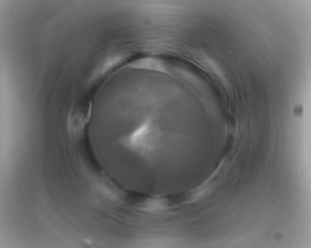 X0000095110124200712071226