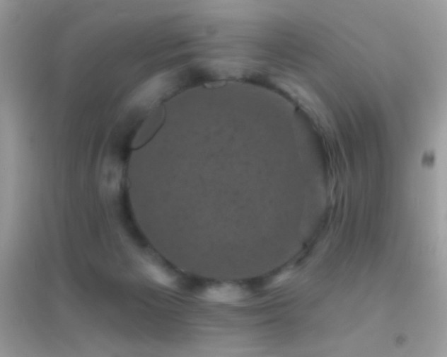 X0000095110125200712071226