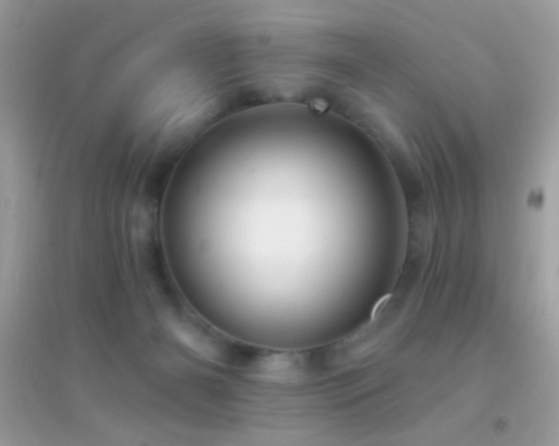 X0000095110126200712071226