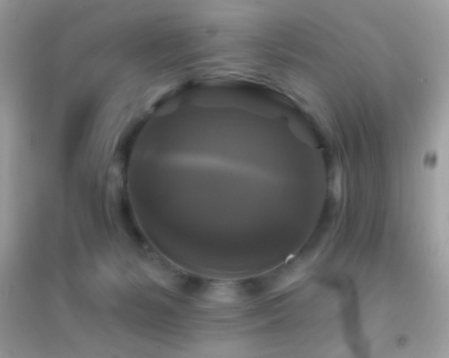 X0000095110127200712071226