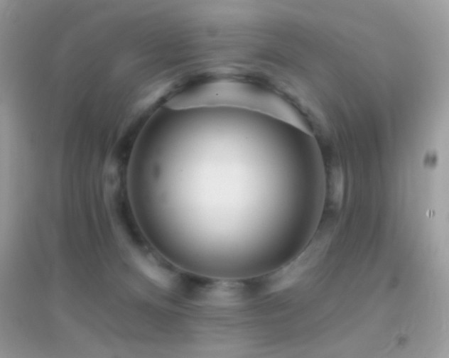 X0000095110128200712071226