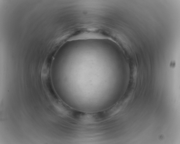 X0000095110129200712071226