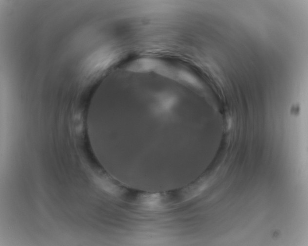 X0000095110131200712071226