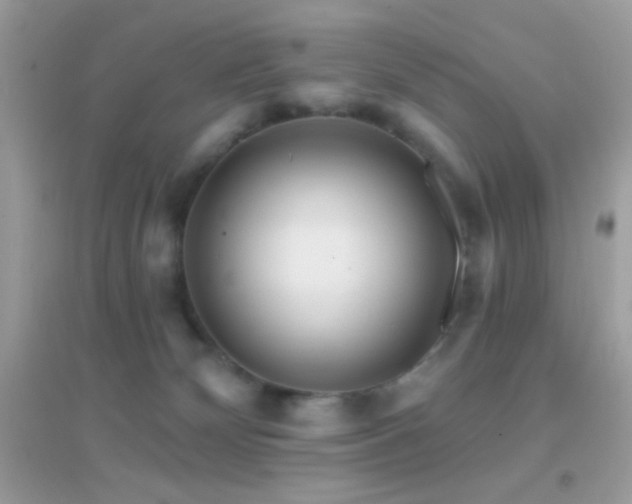 X0000095110132200712071226