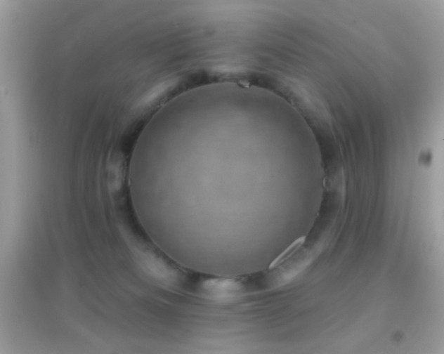 X0000095110133200712071226