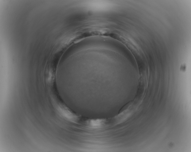 X0000095110134200712071226