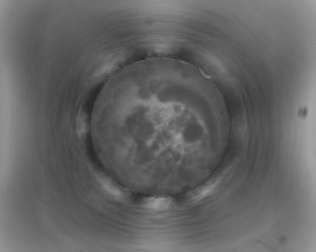 X0000095110135200712071226