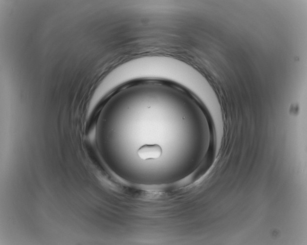 X0000095110136200712071226