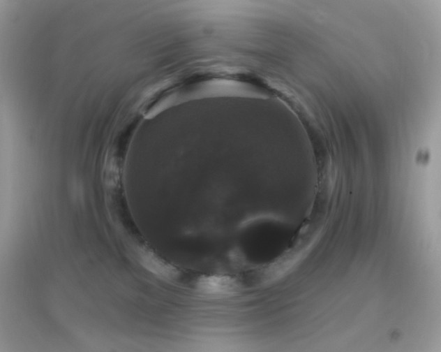 X0000095110137200712071226