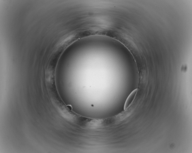 X0000095110138200712071226