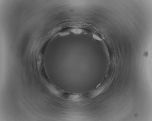 X0000095110139200712071226