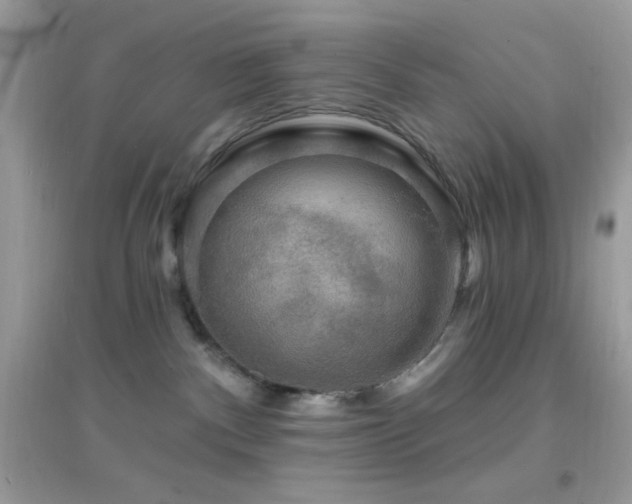 X0000095110140200712071226