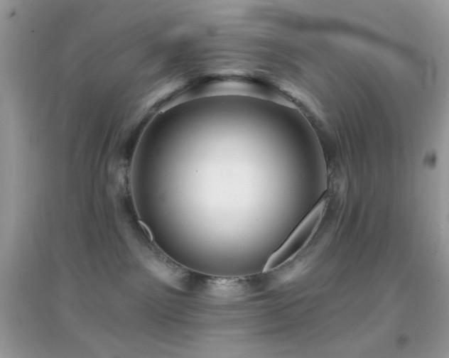 X0000095110141200712071226