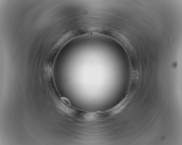 X0000095110142200712071226