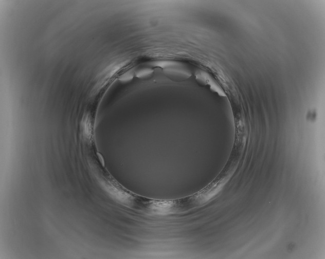 X0000095110143200712071226