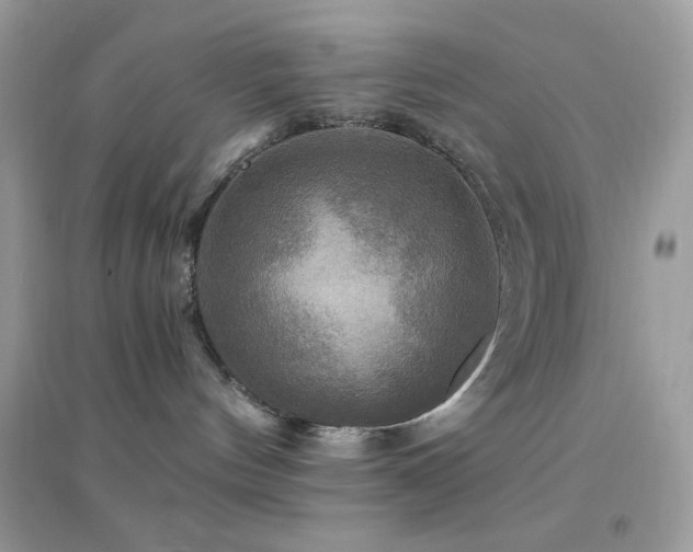 X0000095110144200712071226