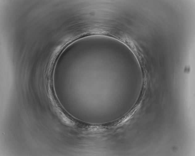 X0000095110145200712071225