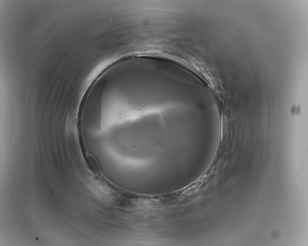 X0000095110147200712071225