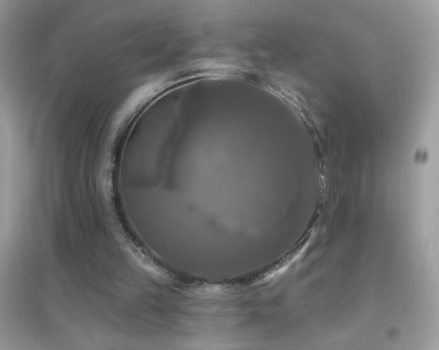 X0000095110149200712071225