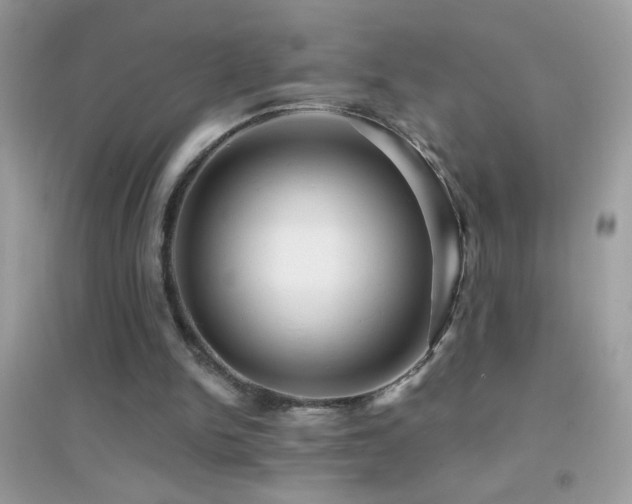 X0000095110150200712071225