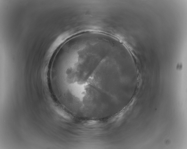 X0000095110151200712071225