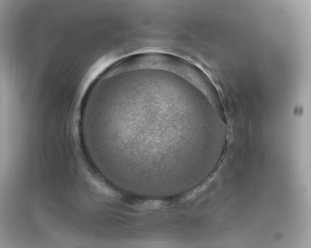 X0000095110152200712071225