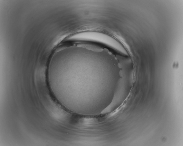 X0000095110154200712071225