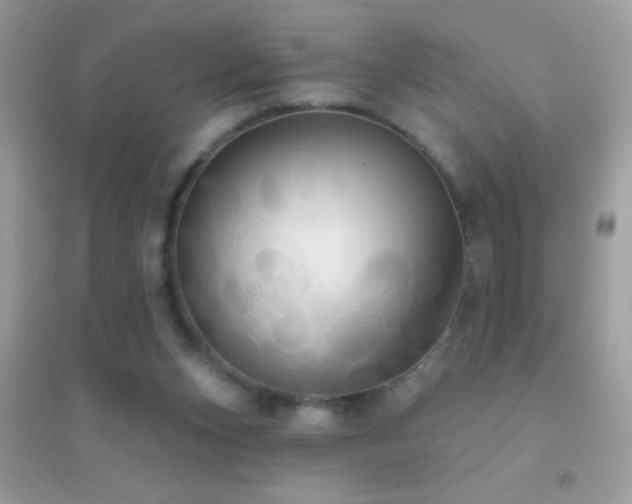 X0000095110159200712071225