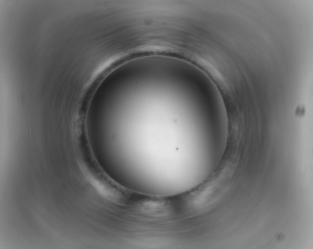 X0000095110160200712071225