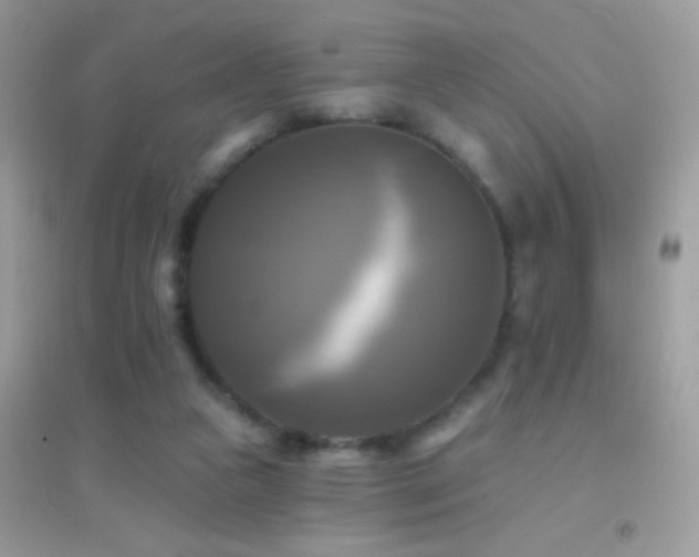 X0000095110161200712071225