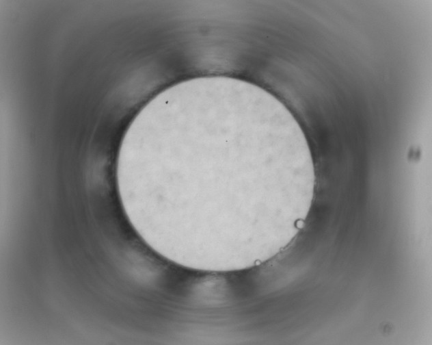 X0000095110162200712071225