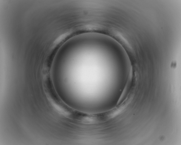 X0000095110164200712071225