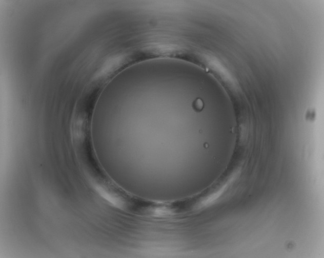 X0000095110165200712071225