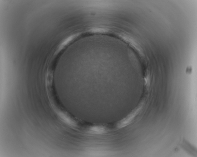 X0000095110168200712071225