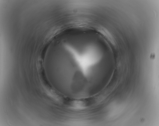 X0000095110169200712071226