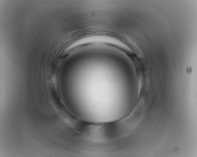 X0000095110170200712071226