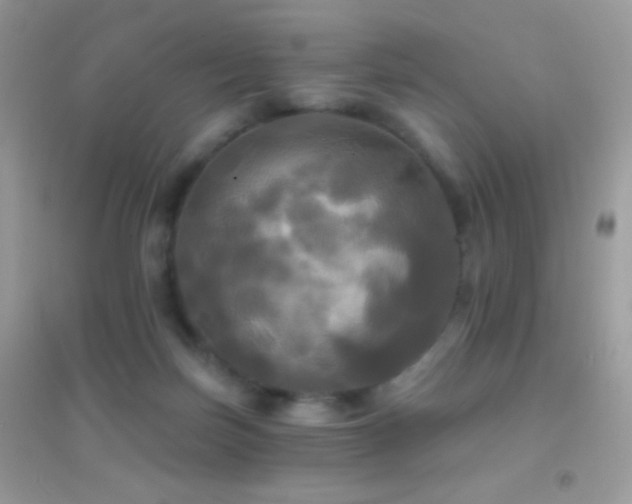 X0000095110171200712071226