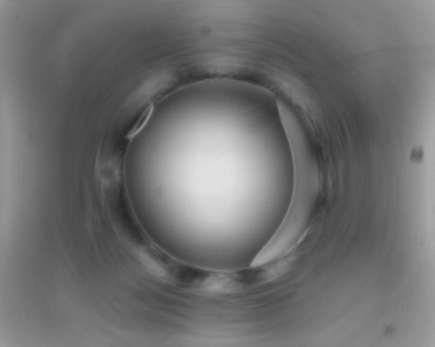 X0000095110172200712071226