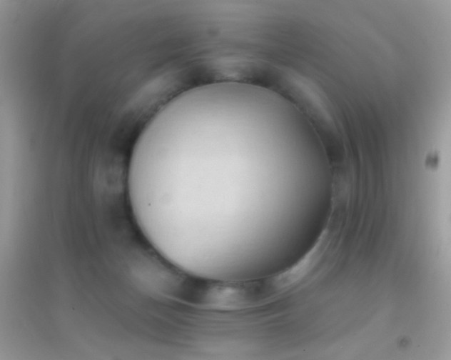 X0000095110174200712071226