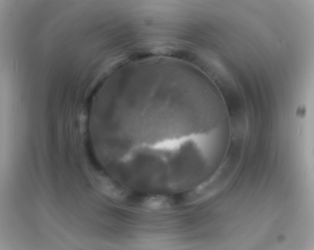 X0000095110175200712071226