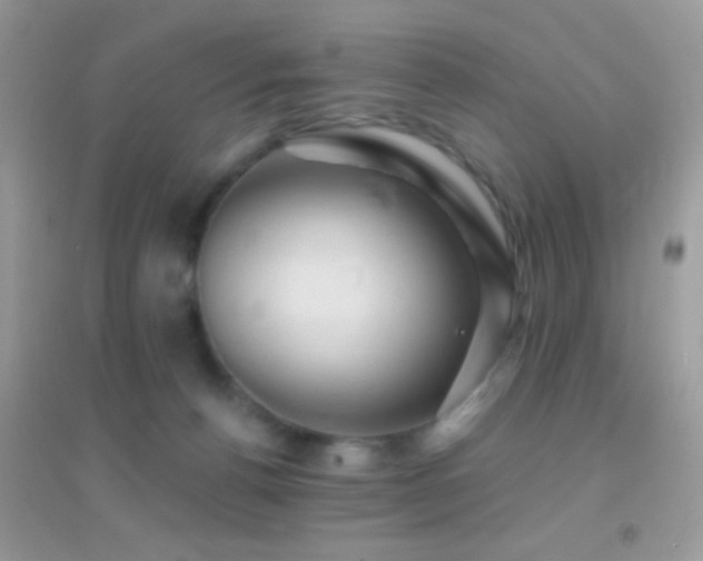 X0000095110176200712071226