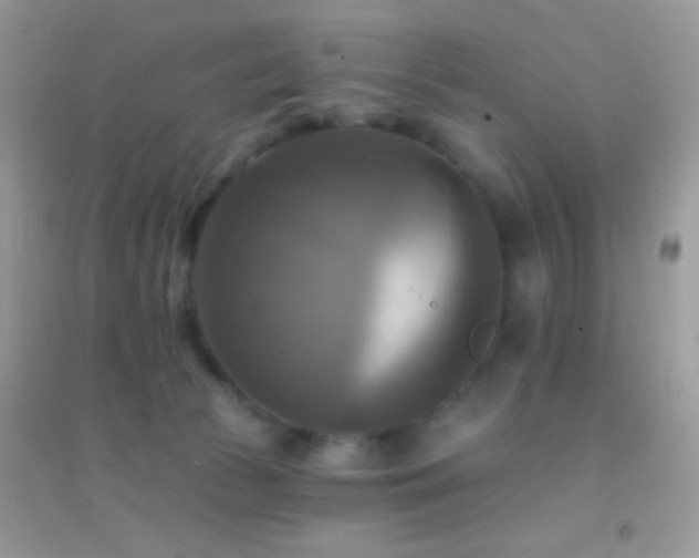 X0000095110177200712071226