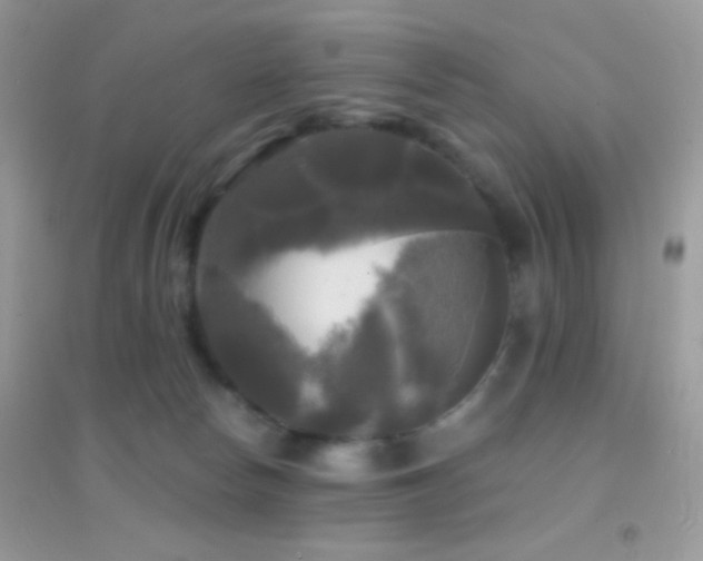 X0000095110178200712071226