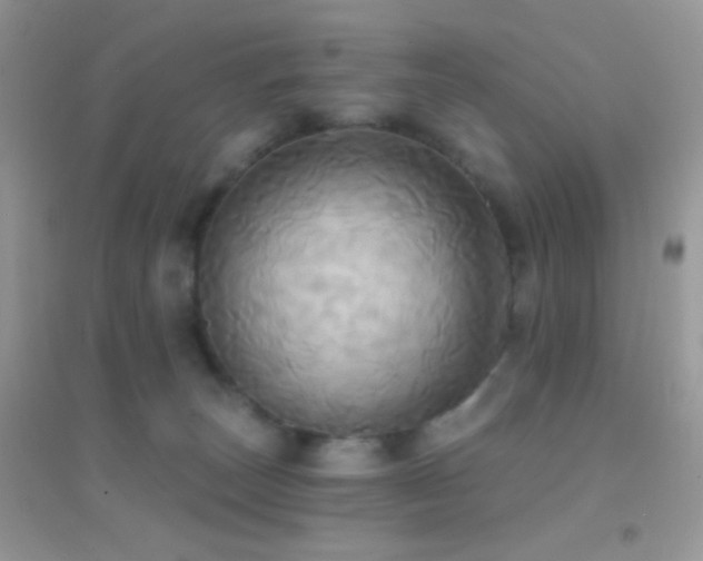 X0000095110179200712071226