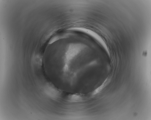 X0000095110180200712071226